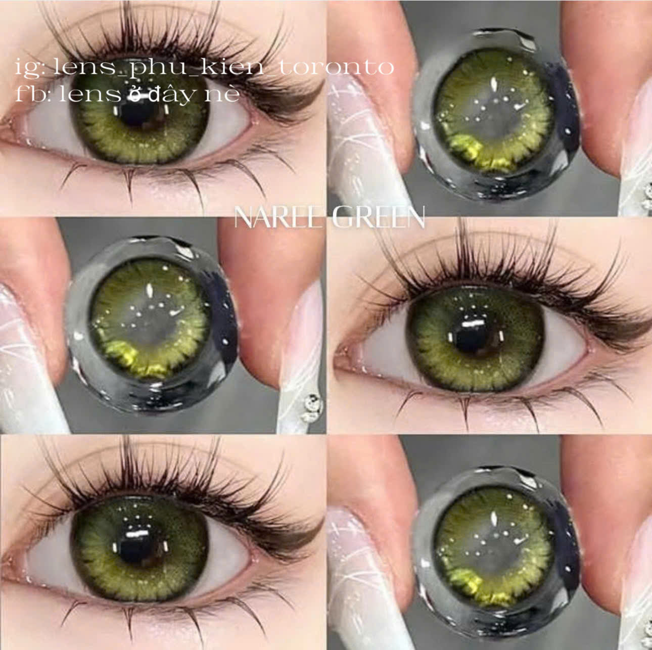 Contact lens - Naree Green