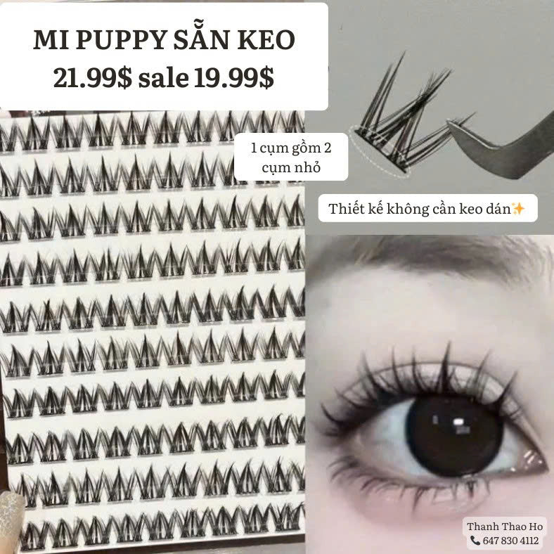 Mi puppy sẵn keo mắt cún con cute