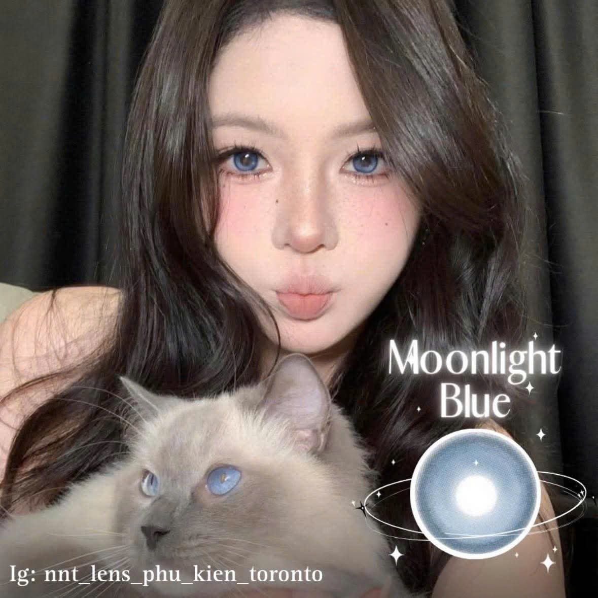 Contact lens - Các mẫu xinh 4 độ có sẵn