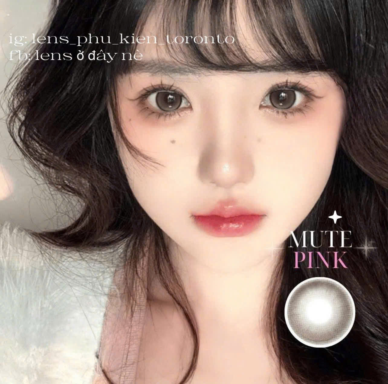 Contact lens - Các mẫu xinh 0 độ có sẵn